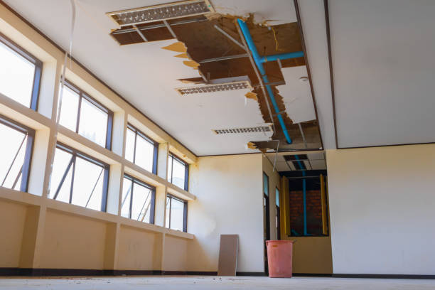 Best Flood damage cleanup  in Dundas, MN