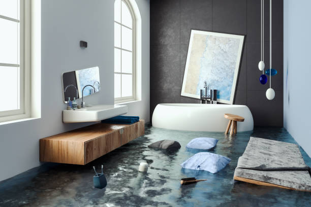 Best Ceiling water damage repair  in Dundas, MN