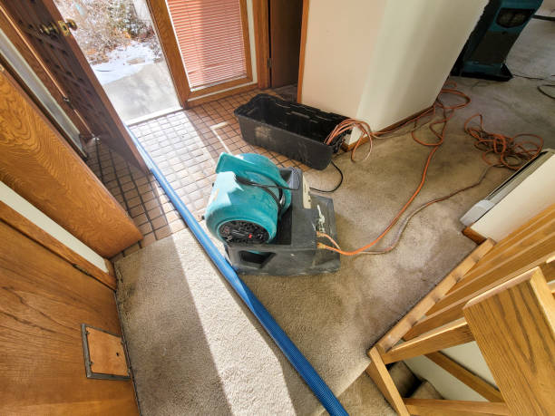 Fire Damage Restoration in MN