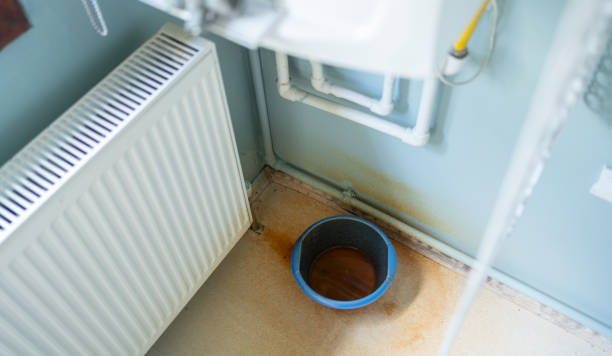 Best Water damage restoration mold remediation  in Dundas, MN