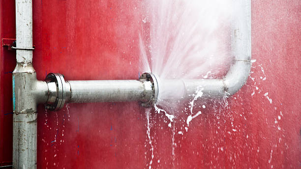 Best Commercial water damage restoration  in Dundas, MN