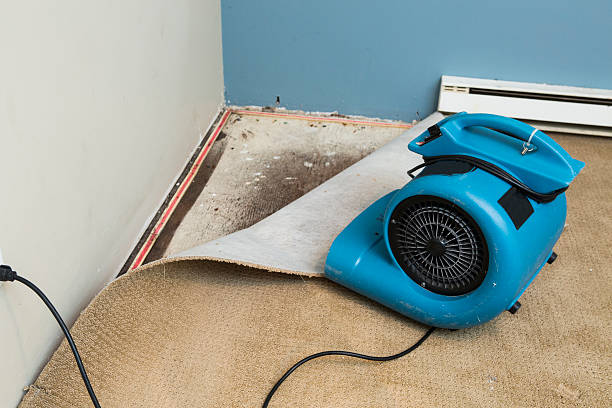 Best Commercial water damage restoration  in Dundas, MN